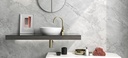 Feinsteinzeug — Brazil Super White Hond 1200 x 3000 - 6mm