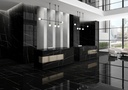 Feinsteinzeug — Sahara Noir Polished 1000 x 3000 - 6mm